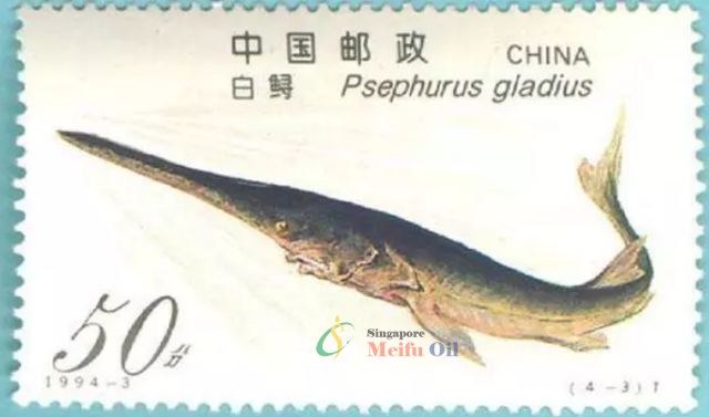 長江白鱘給人類的一封告別信